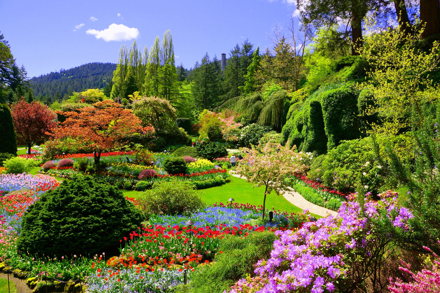 Photo Wall Mural-GARDEN-(1086)-NON WOVEN-Wallpaper-Nature Forest Flower Park XXL