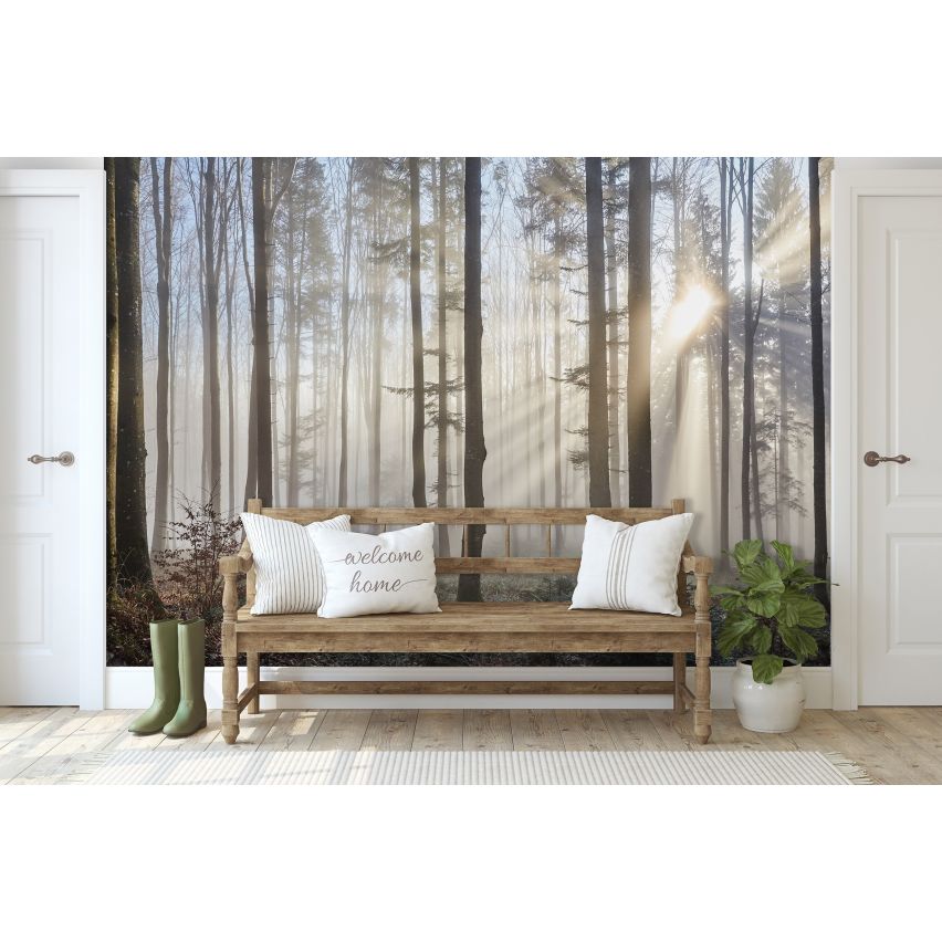 Fototapete WALD-(C13136)-Vlies-Tapete-Waldfläche Baum Nebel Bäume Licht XXL