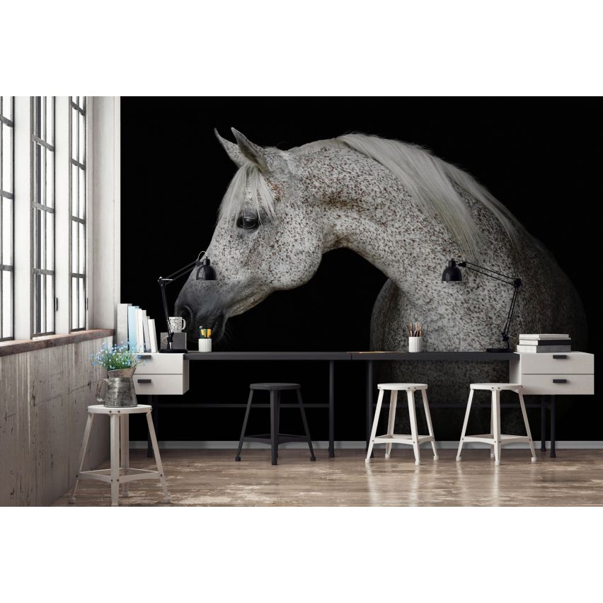 Fototapete -(C13597)-Vlies-Tapete-Tiere XXL