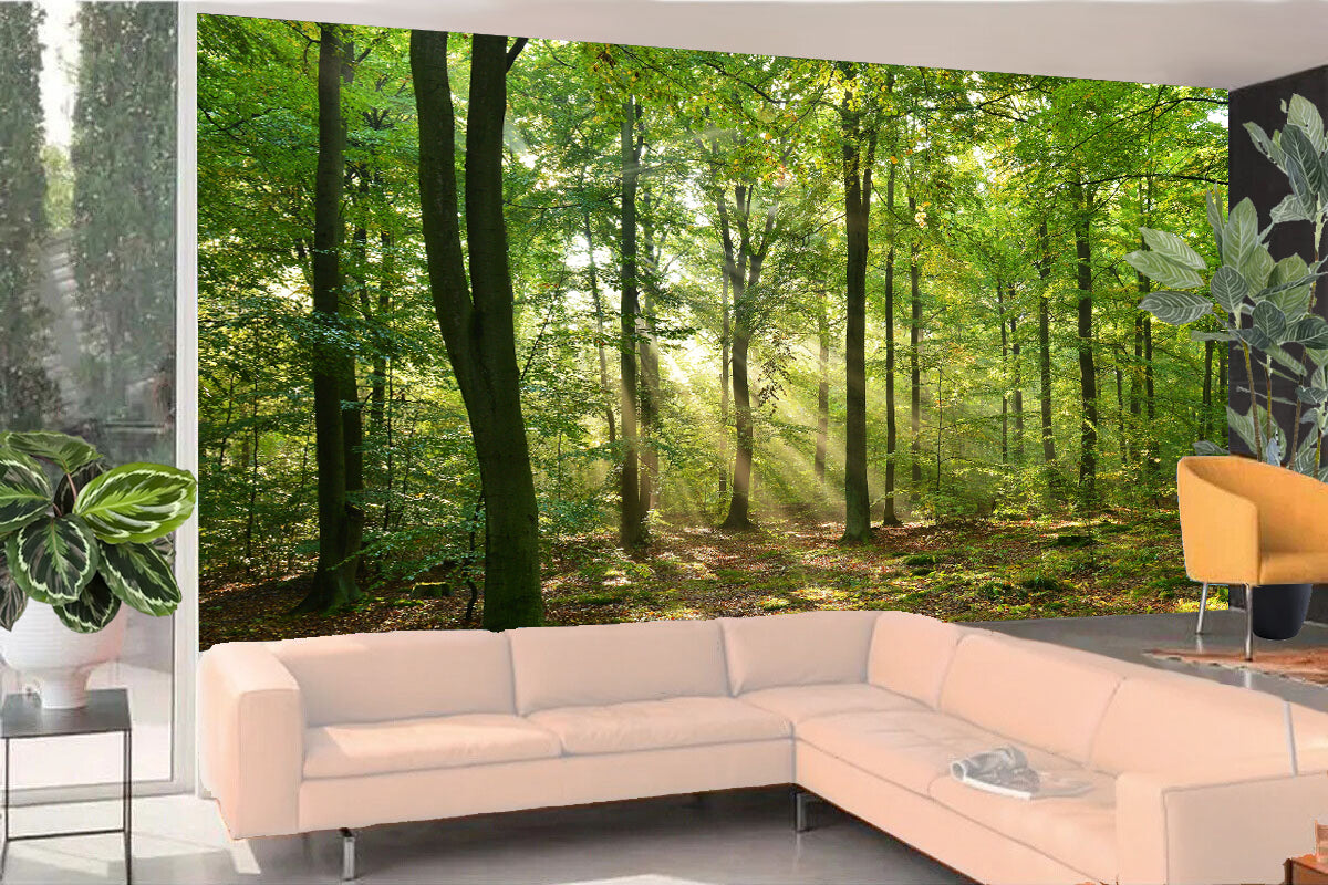 Photo Wall Mural-GLADE FOREST-(363)-NON WOVEN-Wallpaper-Nature Sky Sunshine XXL