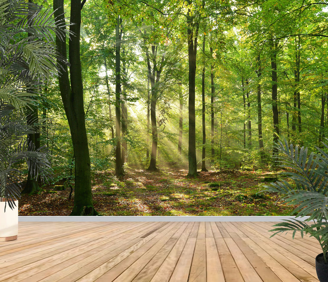 Photo Wall Mural-GLADE FOREST-(363)-NON WOVEN-Wallpaper-Nature Sky Sunshine XXL