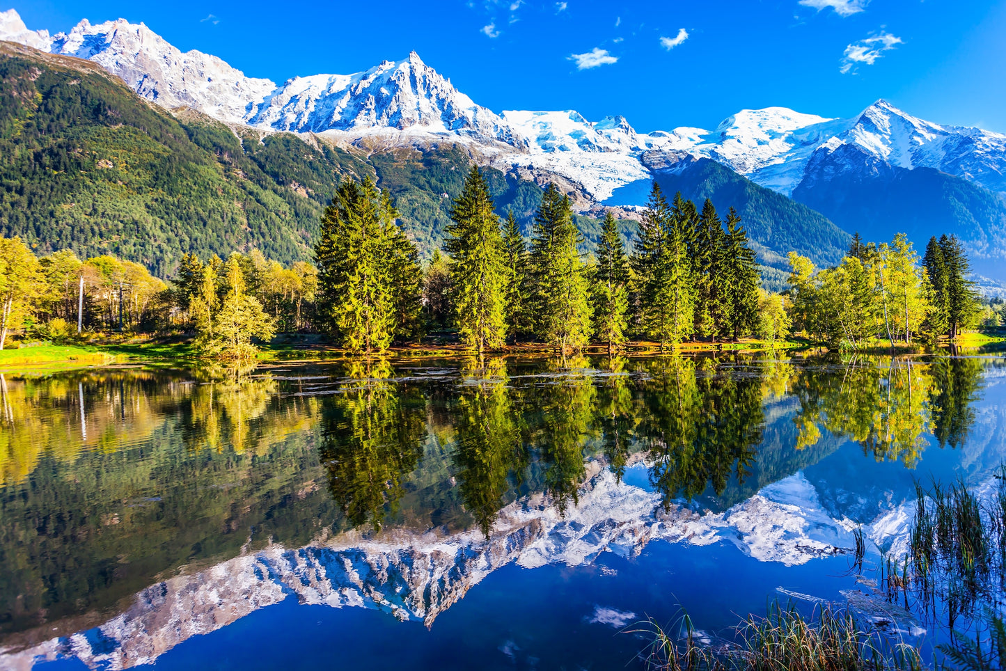 Photo Wall Mural-(4008)-LAKE ALP-NON WOVEN-Wallpaper-Forest Nature Wood Tree Sky