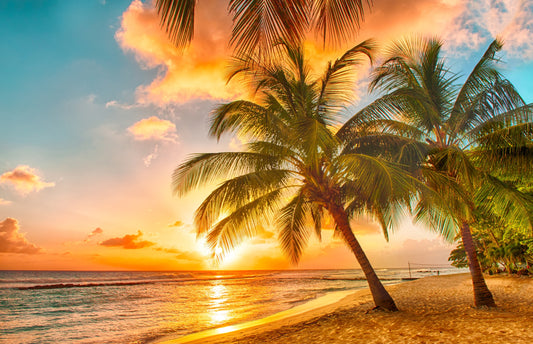 Photo Wall Mural-(049)-SUNSET BEACH-NON WOVEN-Wallpaper-Palms-Trees Panorama XXL