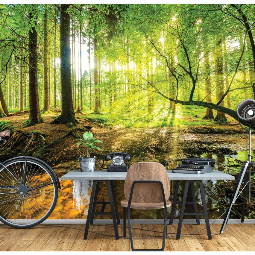 Photo Wall Mural-3D TROPICAL FOREST-(C10513)-NON WOVEN-Wallpaper-Abstract XXL