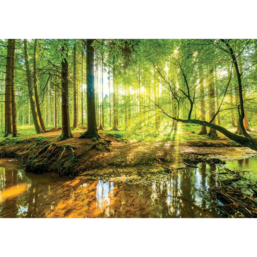 Photo Wall Mural-3D TROPICAL FOREST-(C10513)-NON WOVEN-Wallpaper-Abstract XXL