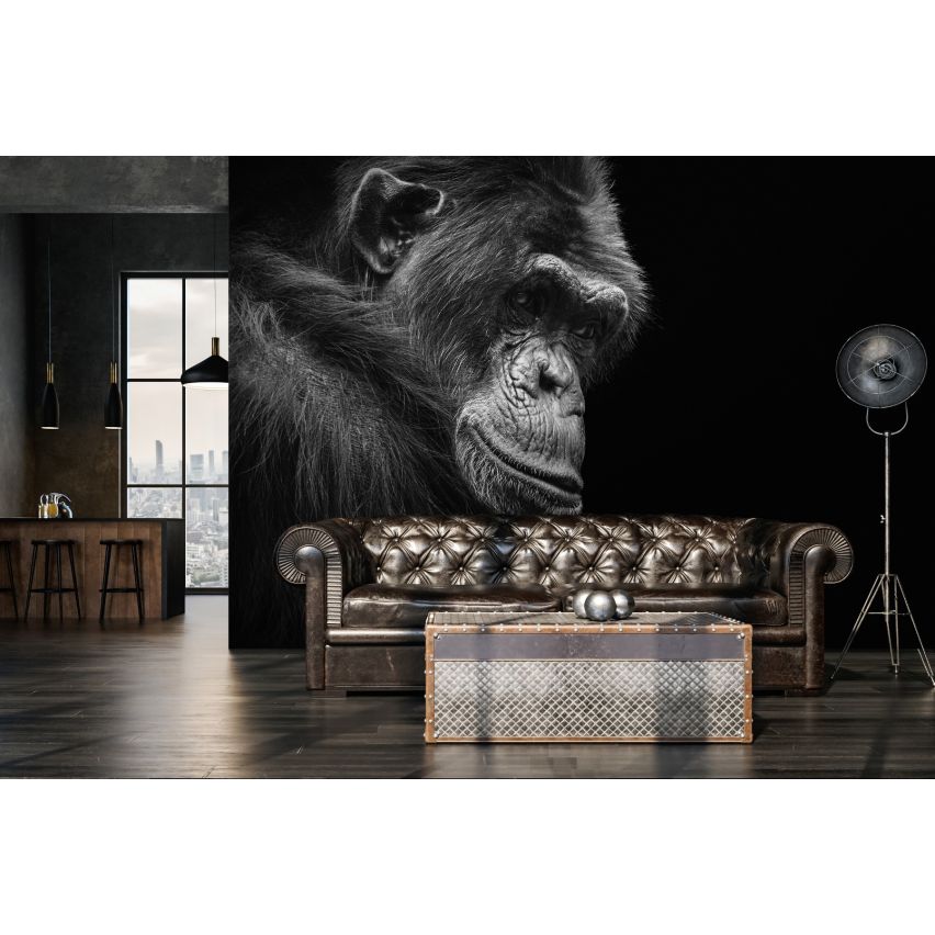 Fototapete -(C12713)-Vlies-Tapete-Tiere XXL