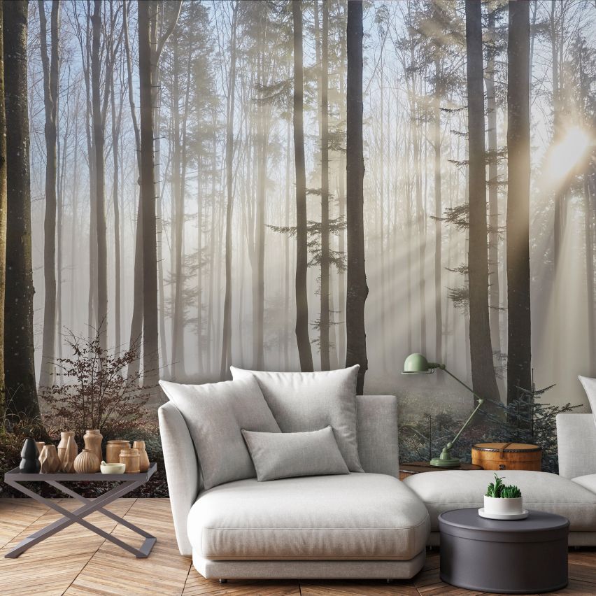 Fototapete WALD-(C13136)-Vlies-Tapete-Waldfläche Baum Nebel Bäume Licht XXL