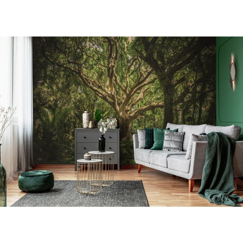 Fototapete WALD-(C13181)-Vlies-Tapete-Waldfläche Baum Sonne Bäume Licht XXL