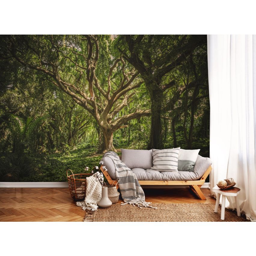 Fototapete WALD-(C13181)-Vlies-Tapete-Waldfläche Baum Sonne Bäume Licht XXL