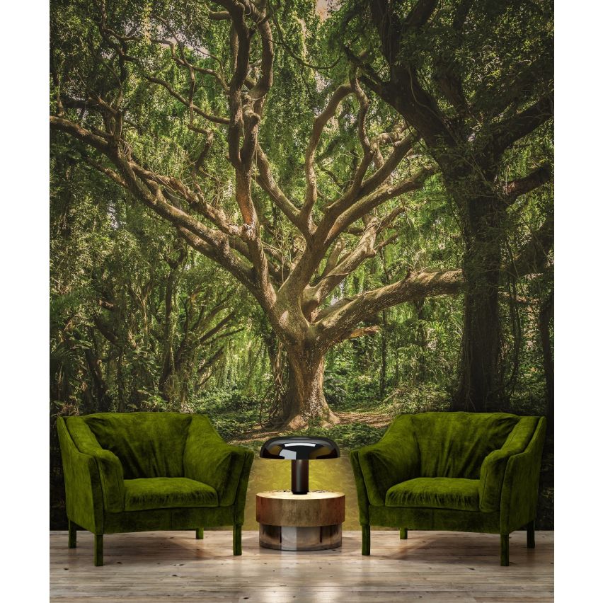 Fototapete WALD-(C13181)-Vlies-Tapete-Waldfläche Baum Sonne Bäume Licht XXL