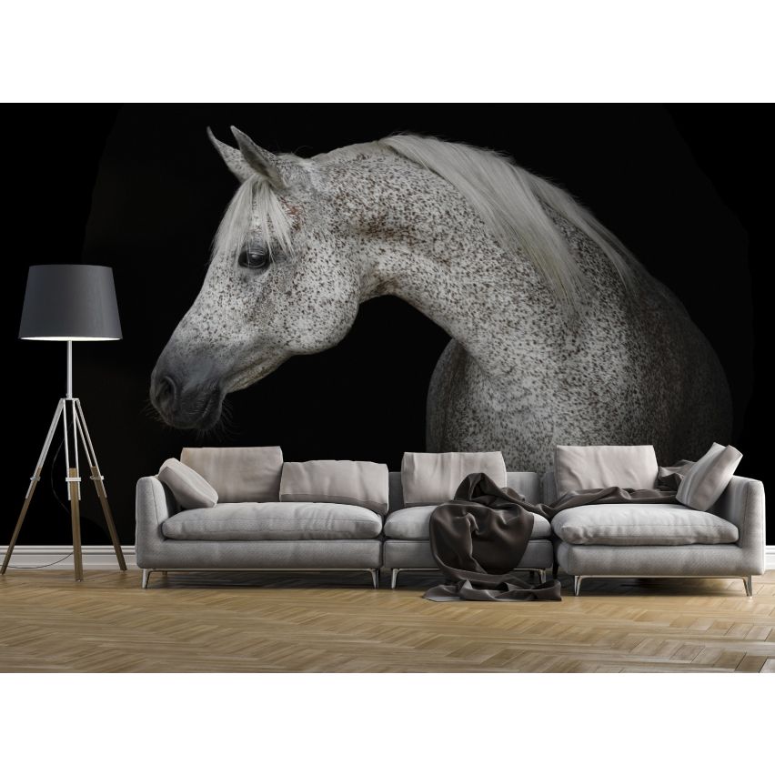 Fototapete -(C13597)-Vlies-Tapete-Tiere XXL
