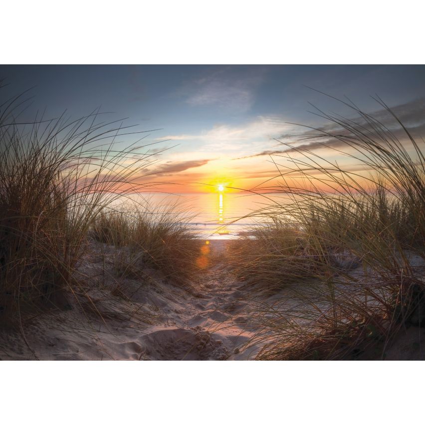 Fototapete 3D -(C14022) - Vliestapete - XXL