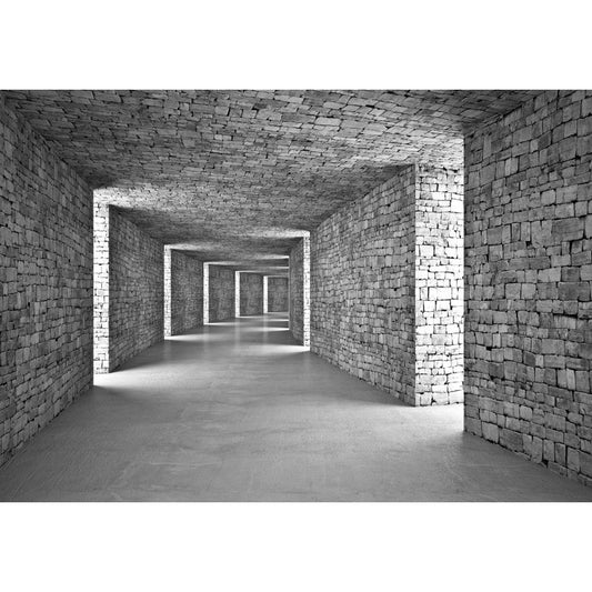 Photo Wall Mural-3D TUNNEL-(14036)-NON WOVEN-Wallpaper-Stein XXL