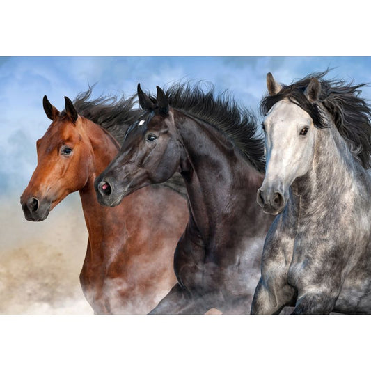 Fototapete -(C14137)-Vlies-Tapete-Tiere XXL