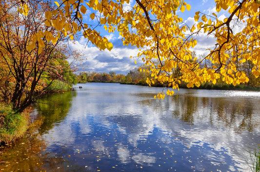 Photo Wall Mural-FOREST RIVER-(2659J)-NON WOVEN-Wallpaper-Autumn Leaves Nature