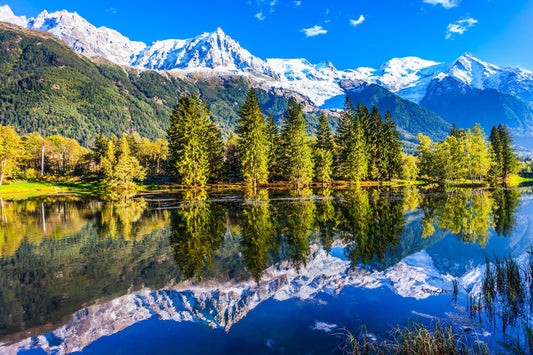 Photo Wall Mural-(4008)-LAKE ALP-NON WOVEN-Wallpaper-Forest Nature Wood Tree Sky