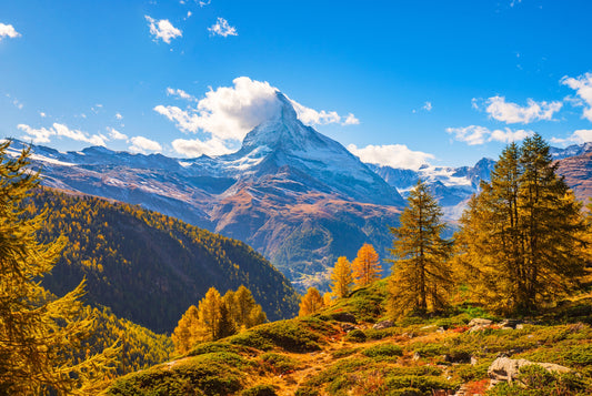 Photo Art Wall Mural-(4381)-MOUNTAIN LANDSCAPE-NON WOVEN-Wallpaper-Forest XXL