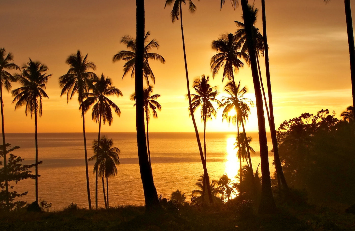 Photo Wall Mural-PALM BEACH-(4466)-NON WOVEN-Wallpaper-Panorama Sunset Sea XXL