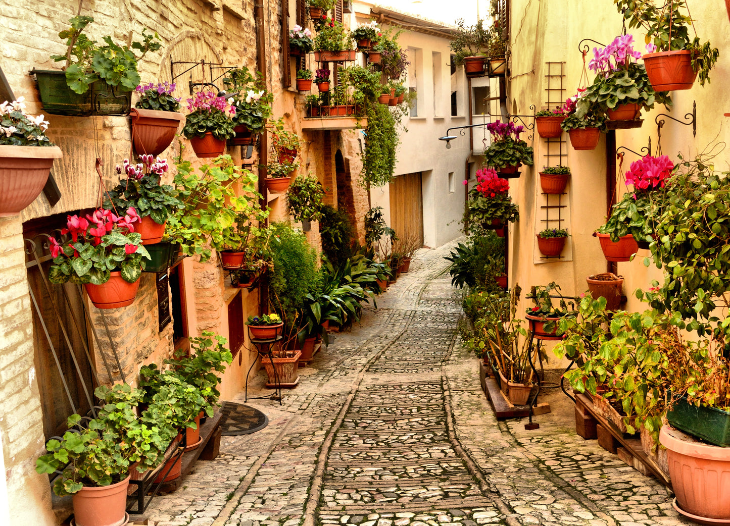 Photo Wall Mural-(541)-OLDTOWN-NON WOVEN-Flower-Pot Alley Wallpaper Panorama XXL