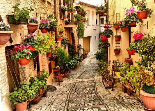 Photo Wall Mural-(541)-OLDTOWN-NON WOVEN-Flower-Pot Alley Wallpaper Panorama XXL