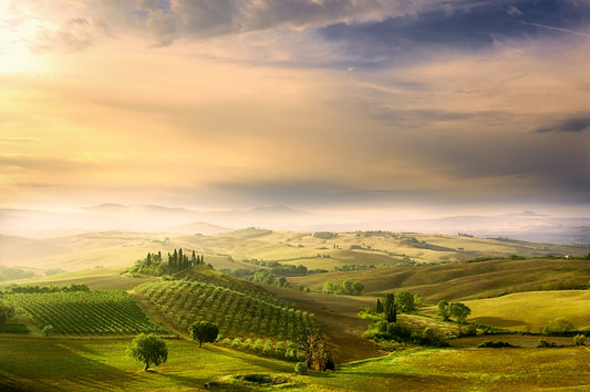 Photo Art Wall Mural-LANDSCAPE-(6566)-NON WOVEN-Wallpaper-Nature Sky Oat Sun XXL