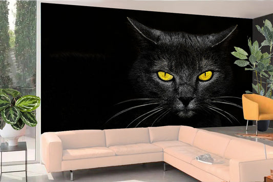 Fototapete-VLIES-SCHWARZE KATZE-(8174S)-Wand-Tapete-Nach-Maß-Gelb Augen Tier XXL