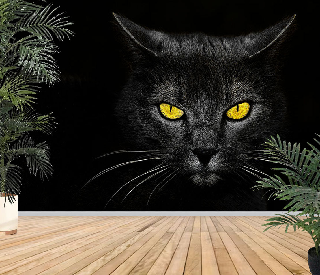 Fototapete-VLIES-SCHWARZE KATZE-(8174S)-Wand-Tapete-Nach-Maß-Gelb Augen Tier XXL