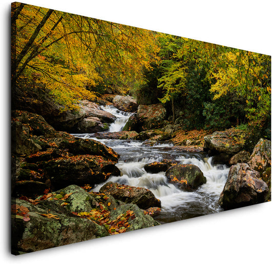 CANVAS-WALD LANDSCHAFT-(PP4193)-Leinwandbild-Foto-Wasser Bäche Kunst Gewässer